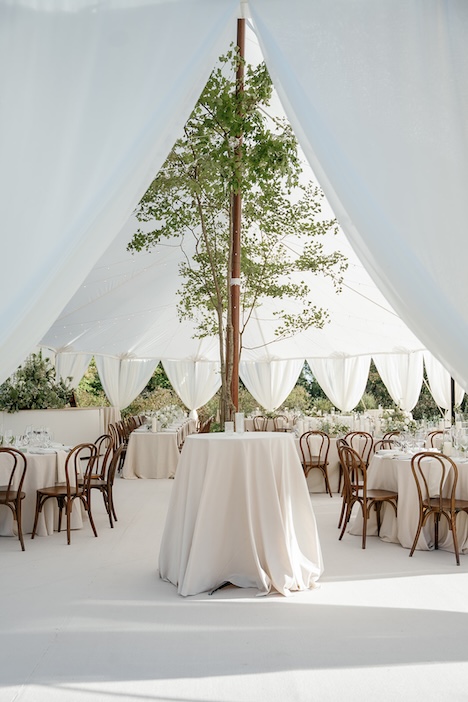 table rental settee rental bride and groom chair rental